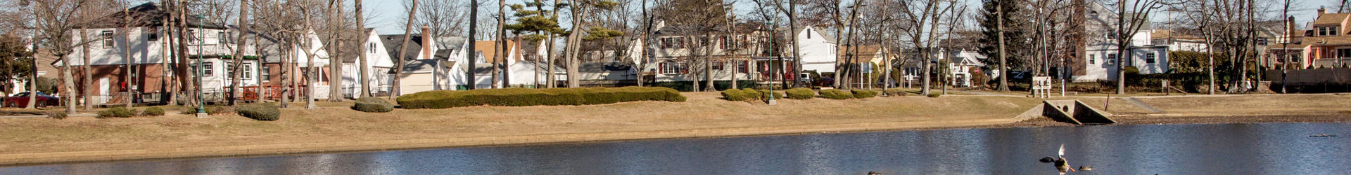 Valley Stream Banner